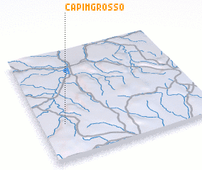 3d view of Capim Grosso