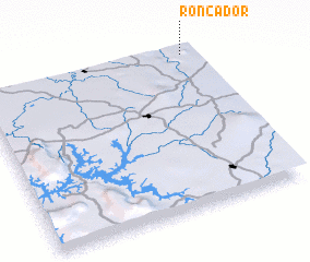 3d view of Roncador