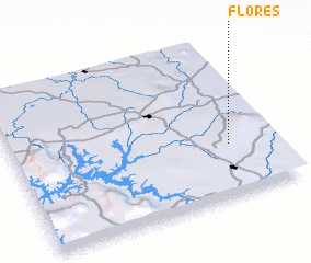 3d view of Flores