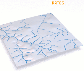 3d view of Patos