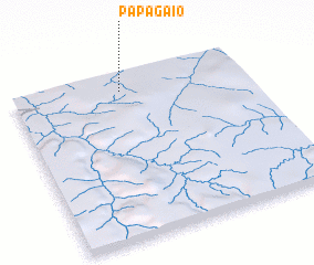 3d view of Papagaio