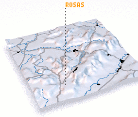 3d view of Rosas