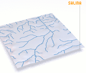 3d view of Salina