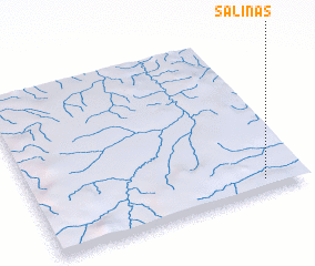 3d view of Salinas