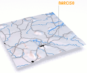 3d view of Narciso