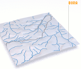 3d view of Borá