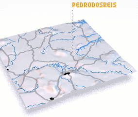 3d view of Pedro dos Reis