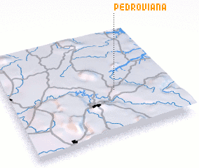 3d view of Pedro Viana