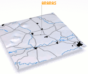 3d view of Araras