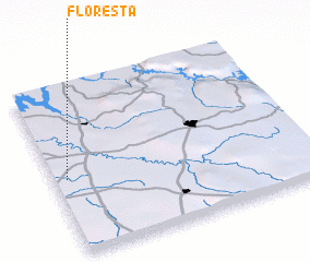 3d view of Floresta