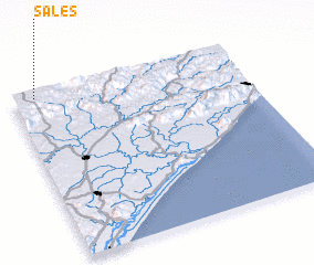 3d view of Sales