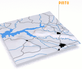 3d view of Pinto