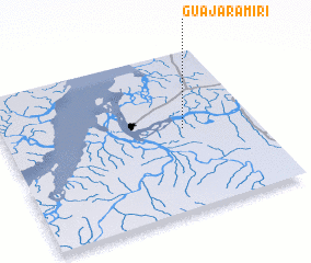 3d view of Guajará-Miri