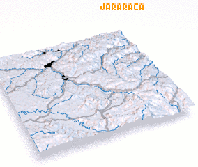 3d view of Jararaca