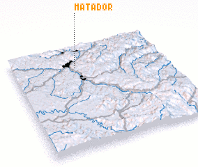 3d view of Matador