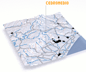 3d view of Cedro Médio