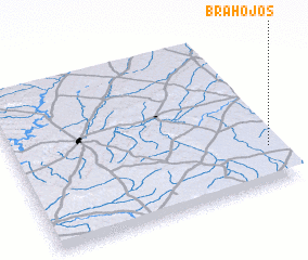 3d view of Brahojos