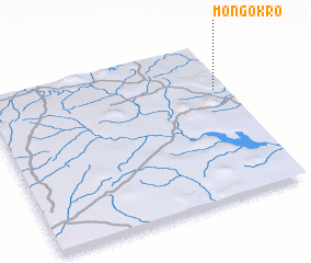 3d view of Mongokro