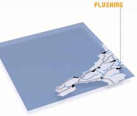 3d view of Flushing
