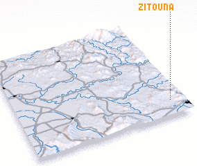 3d view of Zitouna