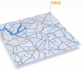 3d view of Todié