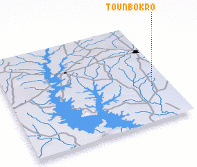 3d view of Tounbokro