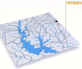 3d view of Totokro