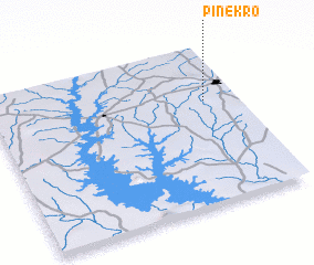 3d view of Pinékro