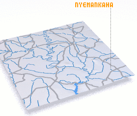 3d view of Nyémankaha