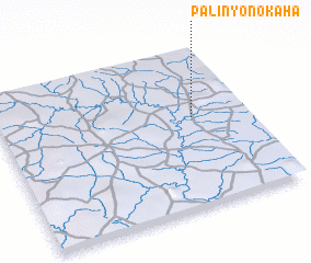 3d view of Palinyonokaha