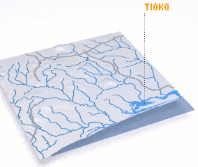 3d view of Tioko