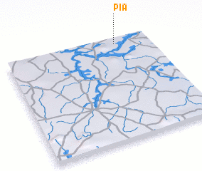 3d view of Pia