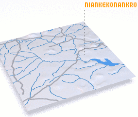 3d view of Nianké Konankro