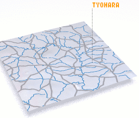 3d view of Tyohara
