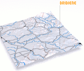 3d view of Dridiene