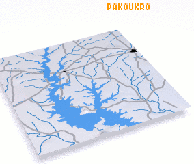 3d view of Pakoukro