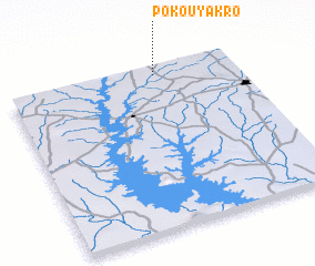 3d view of Pokouyakro