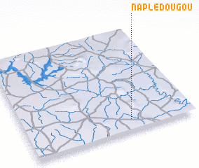 3d view of Naplédougou