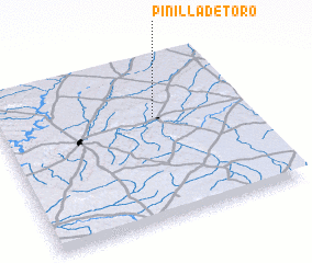 3d view of Pinilla de Toro