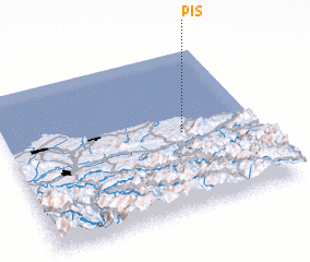 3d view of Pis