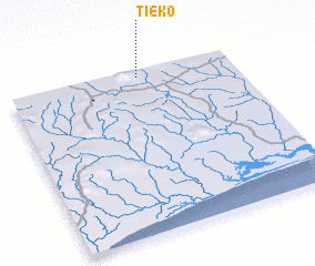 3d view of Tiéko