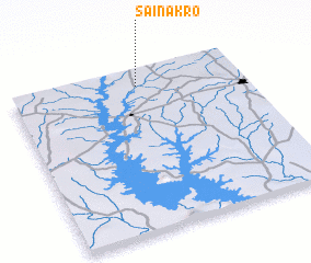 3d view of Sainakro