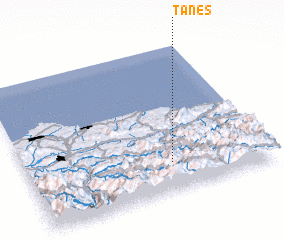 3d view of Tanes