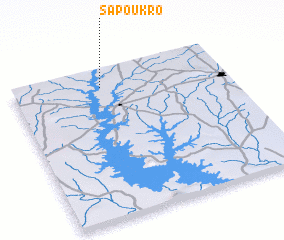 3d view of Sapoukro