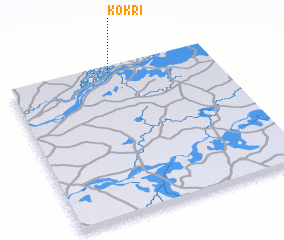 3d view of Kokri