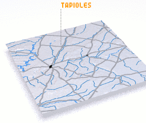 3d view of Tapioles