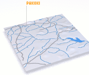 3d view of Pakoki