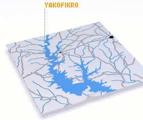 3d view of Yakofikro