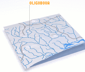 3d view of Oligoboua