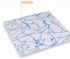3d view of Pékana